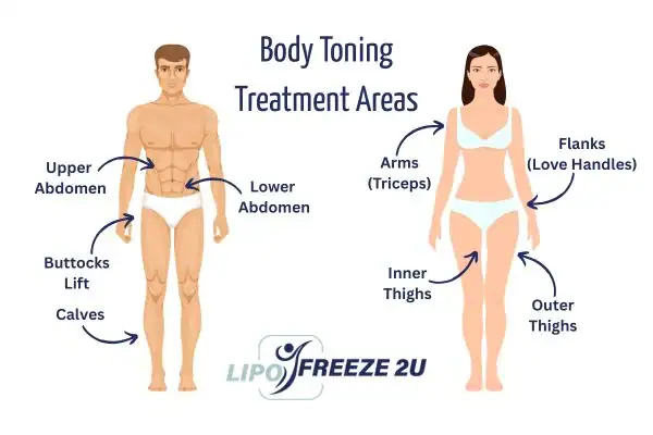 Graphic showing where you can have Body toning Treatment Thame on your body